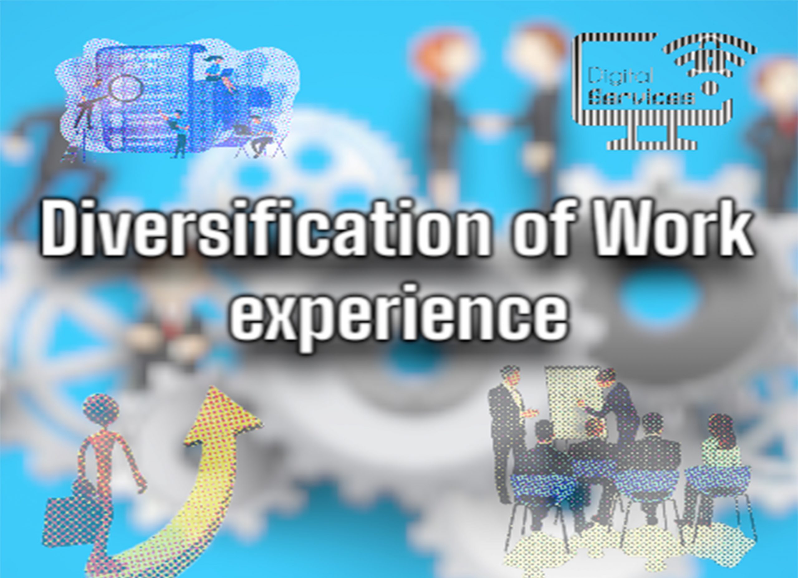 diversificacion